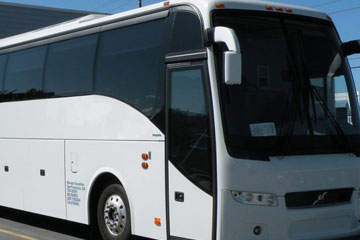 Luxury Bus and Car Rentals Service