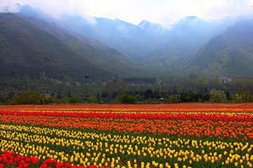 Glimpse of Kashmir